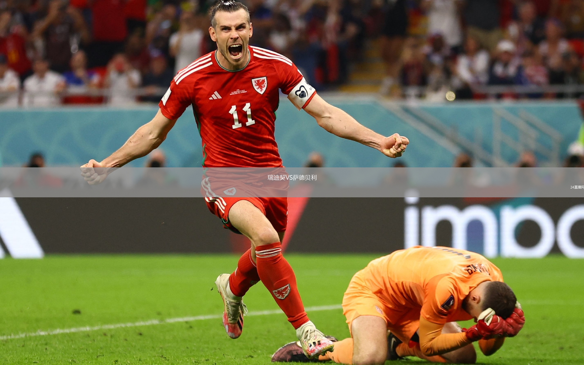 瑞迪契VS萨德贝利